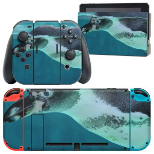 igsticker Nintendo Switch p fUCXLV[ CV jeh[ XCb` p {̃hbN Joy-Con Joycon WCR p Q[@ Jo[ ANZT[ tB XebJ[ 023661 yM