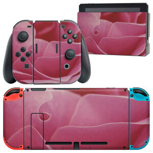 igsticker Nintendo Switch p fUCXLV[ CV jeh[ XCb` p {̃hbN Joy-Con Joycon WCR p Q[@ Jo[ ANZT[ tB XebJ[ 023681 Ԃт@