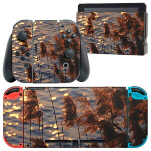 igsticker Nintendo Switch p fUCXLV[ CV jeh[ XCb` p {̃hbN Joy-Con Joycon WCR p Q[@ Jo[ ANZT[ tB XebJ[ 023719 ppX