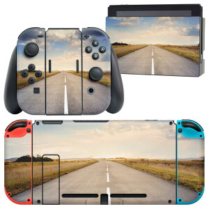 igsticker Nintendo Switch p fUCXLV[ CV jeh[ XCb` p {̃hbN Joy-Con Joycon WCR p Q[@ Jo[ ANZT[ tB XebJ[ 023726 H@