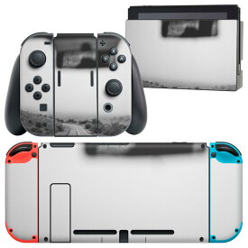 igsticker Nintendo Switch 用 デザインスキンシール 任天堂 ニンテンドー スイッチ 専用 本体ドック Joy-Con Joycon ジョイコン 専用 ゲーム機 カバー アクセサリー フィルム ステッカー 023729 車　道路　モノクロ