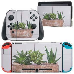 igsticker Nintendo Switch p fUCXLV[ CV jeh[ XCb` p {̃hbN Joy-Con Joycon WCR p Q[@ Jo[ ANZT[ tB XebJ[ 023734 A@A