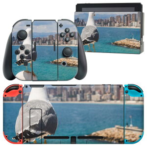 igsticker Nintendo Switch p fUCXLV[ CV jeh[ XCb` p {̃hbN Joy-Con Joycon WCR p Q[@ Jo[ ANZT[ tB XebJ[ 023777 @