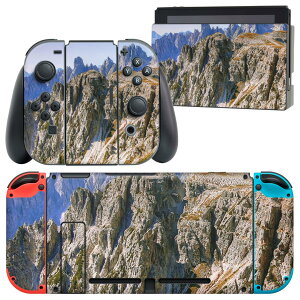 igsticker Nintendo Switch p fUCXLV[ CV jeh[ XCb` p {̃hbN Joy-Con Joycon WCR p Q[@ Jo[ ANZT[ tB XebJ[ 023784 R@ʐ^