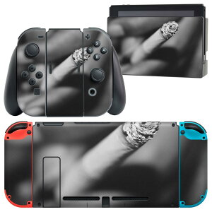 igsticker Nintendo Switch p fUCXLV[ CV jeh[ XCb` p {̃hbN Joy-Con Joycon WCR p Q[@ Jo[ ANZT[ tB XebJ[ 023807 ΂@