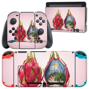 igsticker Nintendo Switch p fUCXLV[ CV jeh[ XCb` p {̃hbN Joy-Con Joycon WCR p Q[@ Jo[ ANZT[ tB XebJ[ 023847 hS