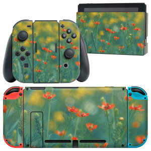 igsticker Nintendo Switch p fUCXLV[ CV jeh[ XCb` p {̃hbN Joy-Con Joycon WCR p Q[@ Jo[ ANZT[ tB XebJ[ 023848 ԁ@t