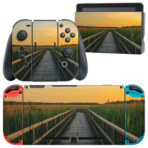 igsticker Nintendo Switch p fUCXLV[ CV jeh[ XCb` p {̃hbN Joy-Con Joycon WCR p Q[@ Jo[ ANZT[ tB XebJ[ 023855 @u