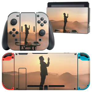igsticker Nintendo Switch p fUCXLV[ CV jeh[ XCb` p {̃hbN Joy-Con Joycon WCR p Q[@ Jo[ ANZT[ tB XebJ[ 023857 l@i