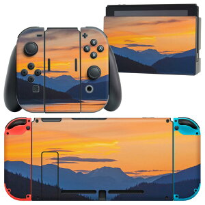 igsticker Nintendo Switch p fUCXLV[ CV jeh[ XCb` p {̃hbN Joy-Con Joycon WCR p Q[@ Jo[ ANZT[ tB XebJ[ 023860 iF@[