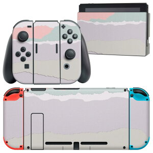 igsticker Nintendo Switch p fUCXLV[ CV jeh[ XCb` p {̃hbN Joy-Con Joycon WCR p Q[@ Jo[ ANZT[ tB XebJ[ 023893 pXe