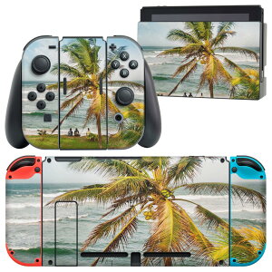 igsticker Nintendo Switch p fUCXLV[ CV jeh[ XCb` p {̃hbN Joy-Con Joycon WCR p Q[@ Jo[ ANZT[ tB XebJ[ 023906 V̖