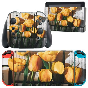 igsticker Nintendo Switch p fUCXLV[ CV jeh[ XCb` p {̃hbN Joy-Con Joycon WCR p Q[@ Jo[ ANZT[ tB XebJ[ 023918 ԁ@t