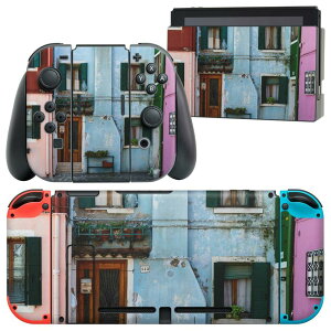 igsticker Nintendo Switch �p �f�U�C���X�L���V�[�� �C�V�� �j���e���h�[ �X�C�b�` ��p �{�̃h�b�N Joy-Con Joycon �W���C�R�� ��p �Q�[���@ �J�o�[ �A�N�Z�T���[ �t�B���� �X�e�b�J�[ 023934 �J���t��