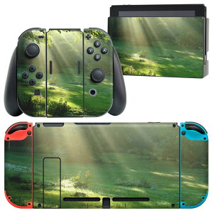 igsticker Nintendo Switch p fUCXLV[ CV jeh[ XCb` p {̃hbN Joy-Con Joycon WCR p Q[@ Jo[ ANZT[ tB XebJ[ 004644 X@ʐ^