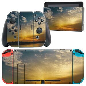 igsticker Nintendo Switch p fUCXLV[ CV jeh[ XCb` p {̃hbN Joy-Con Joycon WCR p Q[@ Jo[ ANZT[ tB XebJ[ 004909 ʐ^@i