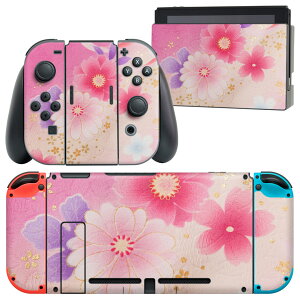igsticker Nintendo Switch p fUCXLV[ CV jeh[ XCb` p {̃hbN Joy-Con Joycon WCR p Q[@ Jo[ ANZT[ tB XebJ[ 004993 ԁ@a