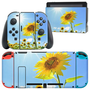 igsticker Nintendo Switch p fUCXLV[ CV jeh[ XCb` p {̃hbN Joy-Con Joycon WCR p Q[@ Jo[ ANZT[ tB XebJ[ 005089 Ђ܂