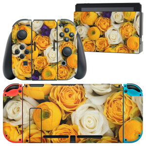 igsticker Nintendo Switch �p �f�U�C���X�L���V�[�� �C�V�� �j���e���h�[ �X�C�b�` ��p �{�̃h�b�N Joy-Con Joycon �W���C�R�� ��p �Q�[���@ �J�o�[ �A�N�Z�T���[ �t�B���� �X�e�b�J�[ 005351 ���F�@��