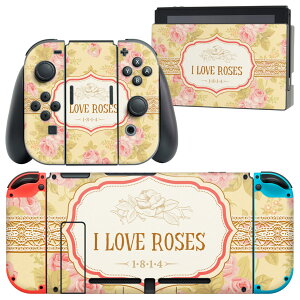 igsticker Nintendo Switch p fUCXLV[ CV jeh[ XCb` p {̃hbN Joy-Con Joycon WCR p Q[@ Jo[ ANZT[ tB XebJ[ 005416 ԁ@@K
