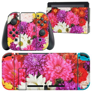 igsticker Nintendo Switch p fUCXLV[ CV jeh[ XCb` p {̃hbN Joy-Con Joycon WCR p Q[@ Jo[ ANZT[ tB XebJ[ 005495 ʐ^@