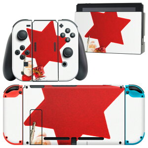 igsticker Nintendo Switch p fUCXLV[ CV jeh[ XCb` p {̃hbN Joy-Con Joycon WCR p Q[@ Jo[ ANZT[ tB XebJ[ 005777 @T