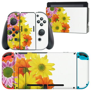 igsticker Nintendo Switch p fUCXLV[ CV jeh[ XCb` p {̃hbN Joy-Con Joycon WCR p Q[@ Jo[ ANZT[ tB XebJ[ 005829 ʐ^@