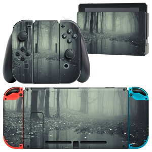 igsticker Nintendo Switch p fUCXLV[ CV jeh[ XCb` p {̃hbN Joy-Con Joycon WCR p Q[@ Jo[ ANZT[ tB XebJ[ 005900 ʐ^@X