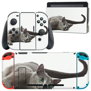 igsticker Nintendo Switch p fUCXLV[ CV jeh[ XCb` p {̃hbN Joy-Con Joycon WCR p Q[@ Jo[ ANZT[ tB XebJ[ 005907 Aj} 