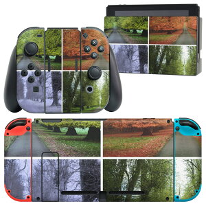 igsticker Nintendo Switch p fUCXLV[ CV jeh[ XCb` p {̃hbN Joy-Con Joycon WCR p Q[@ Jo[ ANZT[ tB XebJ[ 005921 ʐ^@