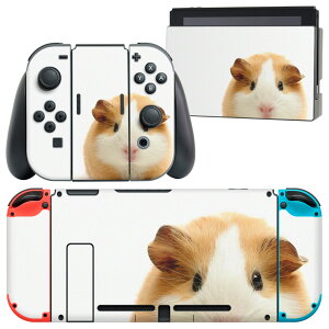 igsticker Nintendo Switch p fUCXLV[ CV jeh[ XCb` p {̃hbN Joy-Con Joycon WCR p Q[@ Jo[ ANZT[ tB XebJ[ 006036 Aj} 
