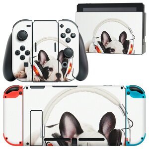 igsticker Nintendo Switch p fUCXLV[ CV jeh[ XCb` p {̃hbN Joy-Con Joycon WCR p Q[@ Jo[ ANZT[ tB XebJ[ 006360 ʐ^@