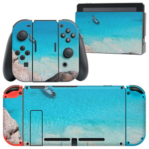 igsticker Nintendo Switch p fUCXLV[ CV jeh[ XCb` p {̃hbN Joy-Con Joycon WCR p Q[@ Jo[ ANZT[ tB XebJ[ 006468 ʐ^@C