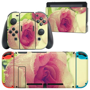 igsticker Nintendo Switch p fUCXLV[ CV jeh[ XCb` p {̃hbN Joy-Con Joycon WCR p Q[@ Jo[ ANZT[ tB XebJ[ 006595 ʐ^@