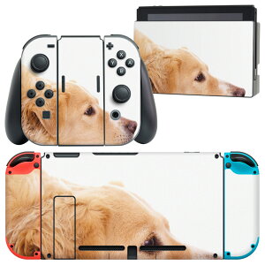 igsticker Nintendo Switch p fUCXLV[ CV jeh[ XCb` p {̃hbN Joy-Con Joycon WCR p Q[@ Jo[ ANZT[ tB XebJ[ 006630 ʐ^@