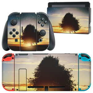 igsticker Nintendo Switch p fUCXLV[ CV jeh[ XCb` p {̃hbN Joy-Con Joycon WCR p Q[@ Jo[ ANZT[ tB XebJ[ 007486 ʐ^@[