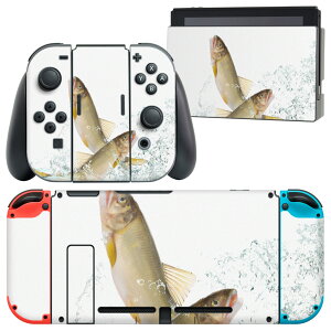 igsticker Nintendo Switch p fUCXLV[ CV jeh[ XCb` p {̃hbN Joy-Con Joycon WCR p Q[@ Jo[ ANZT[ tB XebJ[ 007741 @