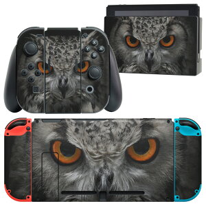 igsticker Nintendo Switch p fUCXLV[ CV jeh[ XCb` p {̃hbN Joy-Con Joycon WCR p Q[@ Jo[ ANZT[ tB XebJ[ 007937 ʐ^@t