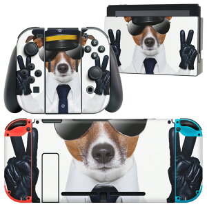 igsticker Nintendo Switch p fUCXLV[ CV jeh[ XCb` p {̃hbN Joy-Con Joycon WCR p Q[@ Jo[ ANZT[ tB XebJ[ 007938 ʐ^@