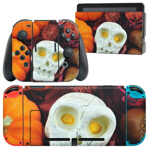 igsticker Nintendo Switch p fUCXLV[ CV jeh[ XCb` p {̃hbN Joy-Con Joycon WCR p Q[@ Jo[ ANZT[ tB XebJ[ 007956 ʐ^@J