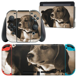 igsticker Nintendo Switch p fUCXLV[ CV jeh[ XCb` p {̃hbN Joy-Con Joycon WCR p Q[@ Jo[ ANZT[ tB XebJ[ 008194 ʐ^@Z