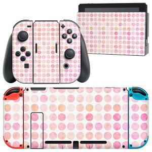 igsticker Nintendo Switch �p �f�U�C���X�L���V�[�� �C�V�� �j���e���h�[ �X�C�b�` ��p �{�̃h�b�N Joy-Con Joycon �W���C�R�� ��p �Q�[���@ �J�o�[ �A�N�Z�T���[ �t�B���� �X�e�b�J�[ 008589 �N�[�� �s