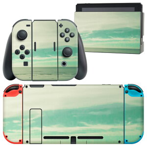 igsticker Nintendo Switch p fUCXLV[ CV jeh[ XCb` p {̃hbN Joy-Con Joycon WCR p Q[@ Jo[ ANZT[ tB XebJ[ 008671 ʐ^@