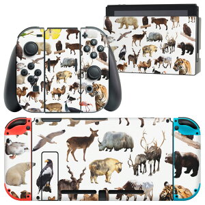 igsticker Nintendo Switch p fUCXLV[ CV jeh[ XCb` p {̃hbN Joy-Con Joycon WCR p Q[@ Jo[ ANZT[ tB XebJ[ 008864 ʐ^@