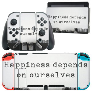 igsticker Nintendo Switch p fUCXLV[ CV jeh[ XCb` p {̃hbN Joy-Con Joycon WCR p Q[@ Jo[ ANZT[ tB XebJ[ 009532 p@