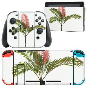 igsticker Nintendo Switch �p �f�U�C���X�L���V�[�� �C�V�� �j���e���h�[ �X�C�b�` ��p �{�̃h�b�N Joy-Con Joycon �W���C�R�� ��p �Q�[���@ �J�o�[ �A�N�Z�T���[ �t�B���� �X�e�b�J�[ 009571 �A���@��