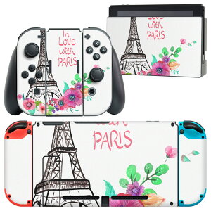 igsticker Nintendo Switch p fUCXLV[ CV jeh[ XCb` p {̃hbN Joy-Con Joycon WCR p Q[@ Jo[ ANZT[ tB XebJ[ 009602 i@O