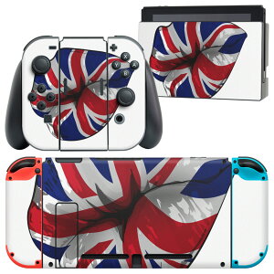 igsticker Nintendo Switch p fUCXLV[ CV jeh[ XCb` p {̃hbN Joy-Con Joycon WCR p Q[@ Jo[ ANZT[ tB XebJ[ 009628 O@