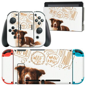 igsticker Nintendo Switch �p �f�U�C���X�L���V�[�� �C�V�� �j���e���h�[ �X�C�b�` ��p �{�̃h�b�N Joy-Con Joycon �W���C�R�� ��p �Q�[���@ �J�o�[ �A�N�Z�T���[ �t�B���� �X�e�b�J�[ 009897 ���@����
