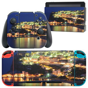 igsticker Nintendo Switch p fUCXLV[ CV jeh[ XCb` p {̃hbN Joy-Con Joycon WCR p Q[@ Jo[ ANZT[ tB XebJ[ 010382 i@i